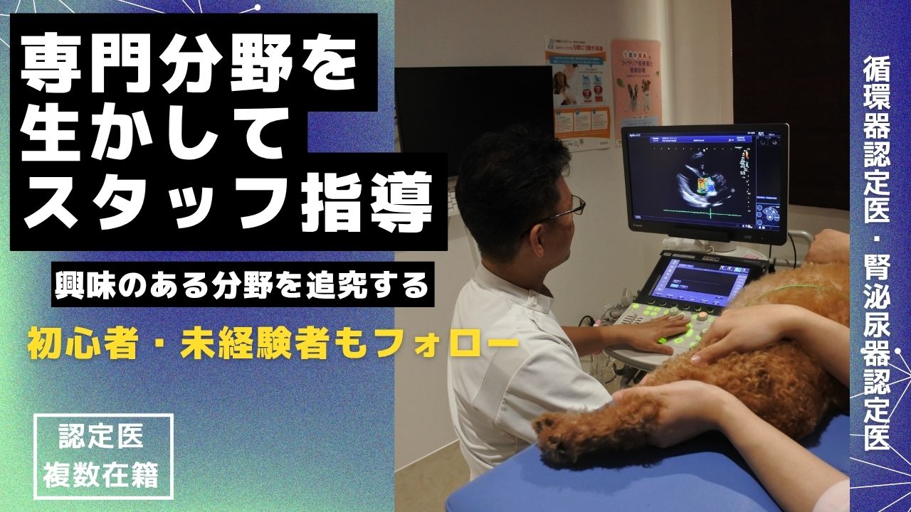 獣医師採用
